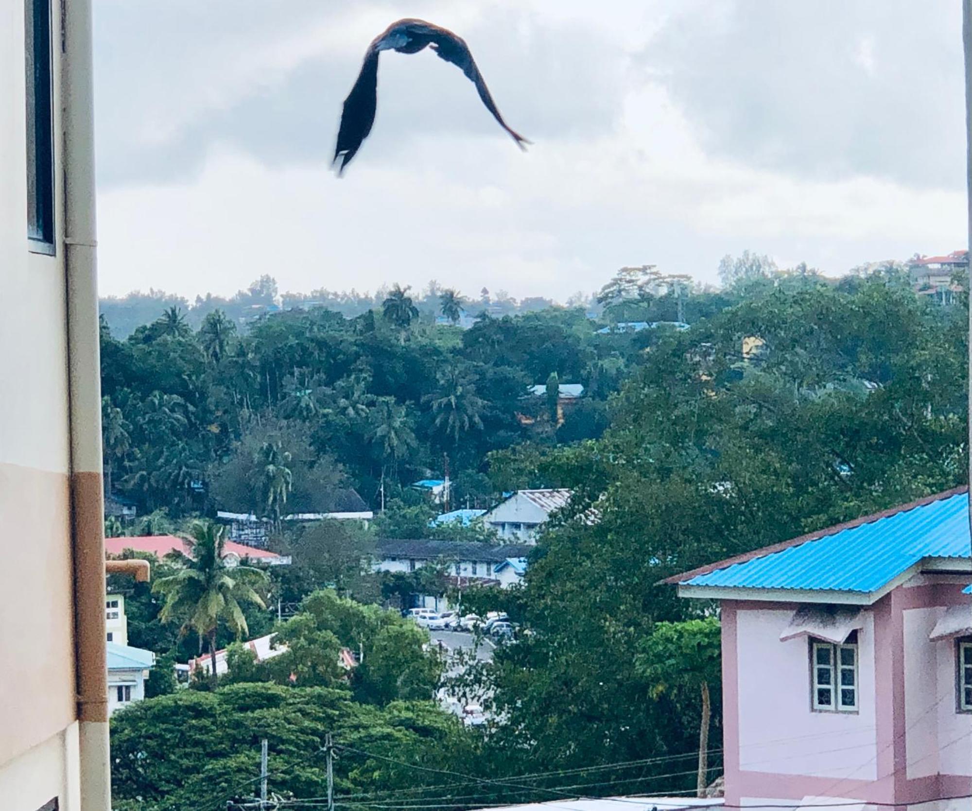 Sea Pearl Homestay Port Blair Extérieur photo